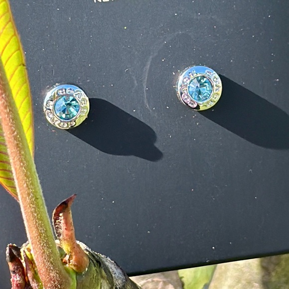 COACH Open Circle Stone Stud Earrings Silver and Aqua Crystal - Picture 10 of 14
